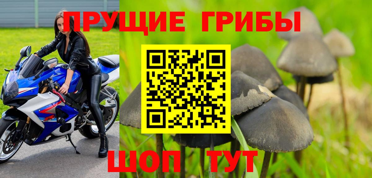 Псилоцибиновые грибы прущие грибы Озёры